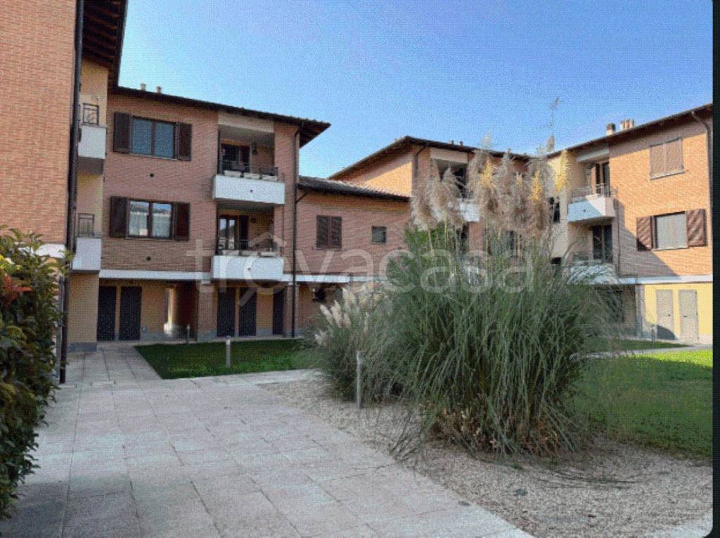 immagine annuncio 11 di 12