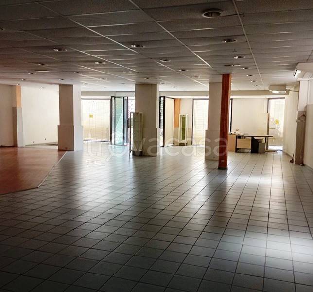 immagine annuncio 3 di 8