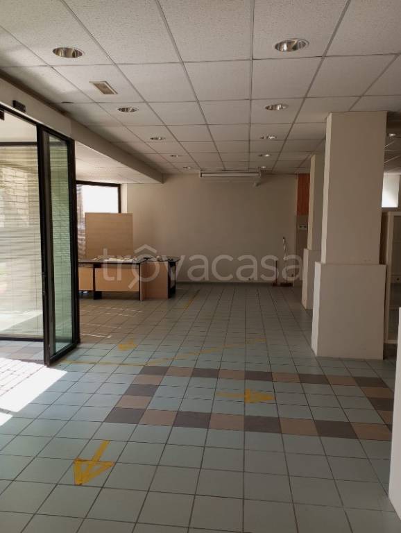 immagine annuncio 4 di 8