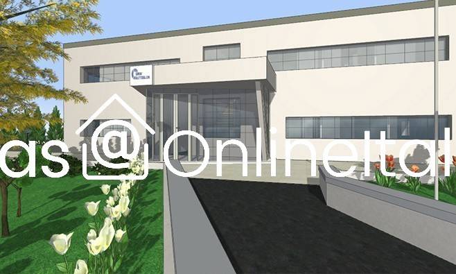 immagine annuncio 2 di 12