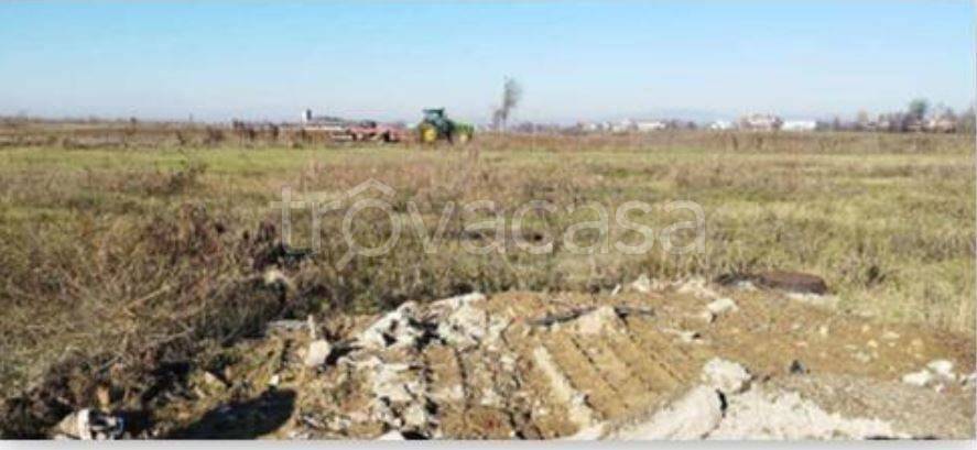 immagine annuncio 2 di 8