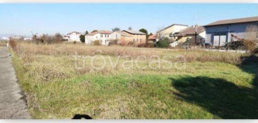 immagine annuncio 3 di 8