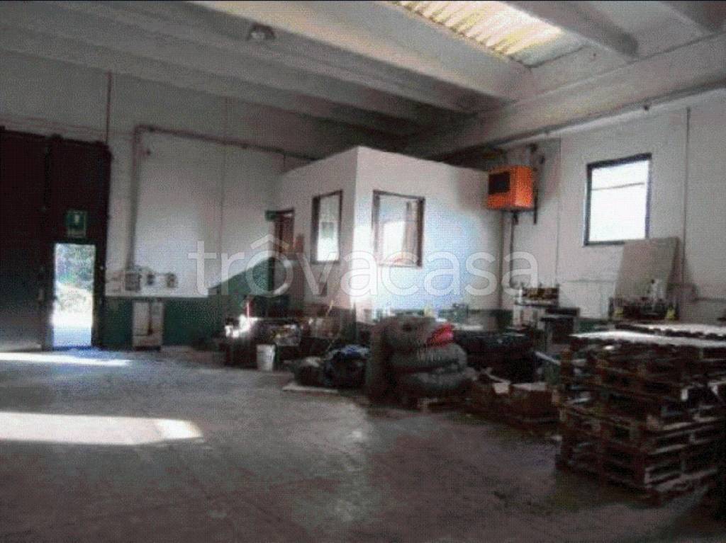 immagine annuncio 2 di 6