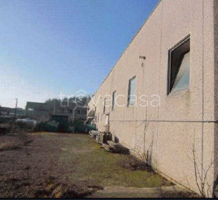 immagine annuncio 4 di 6