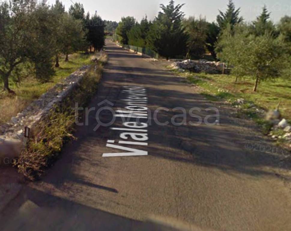 immagine annuncio 12 di 13