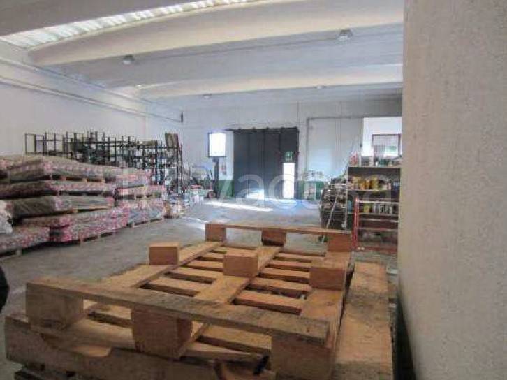 immagine annuncio 2 di 7