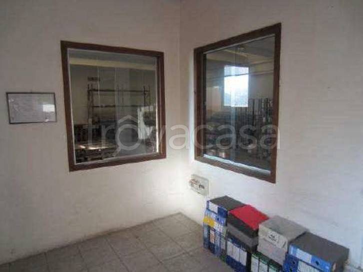 immagine annuncio 4 di 7