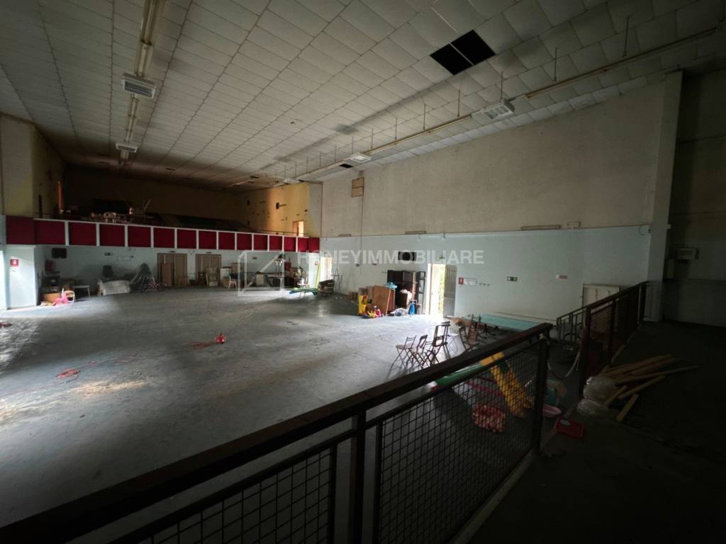 immagine annuncio 4 di 6