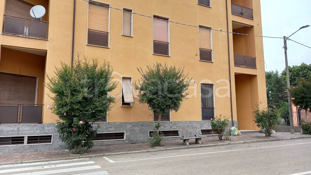 immagine annuncio 2 di 12