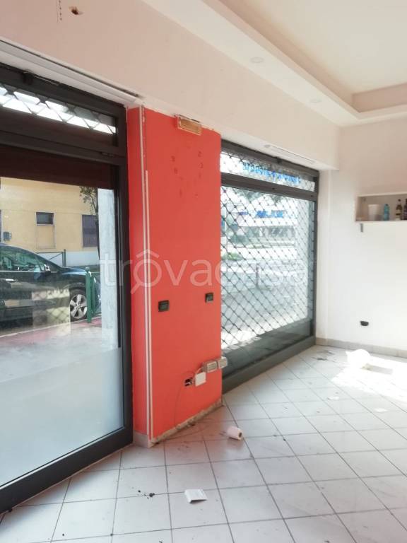 immagine annuncio 7 di 13