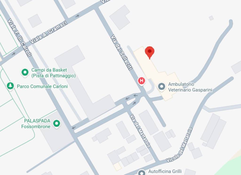 immagine annuncio 6 di 12