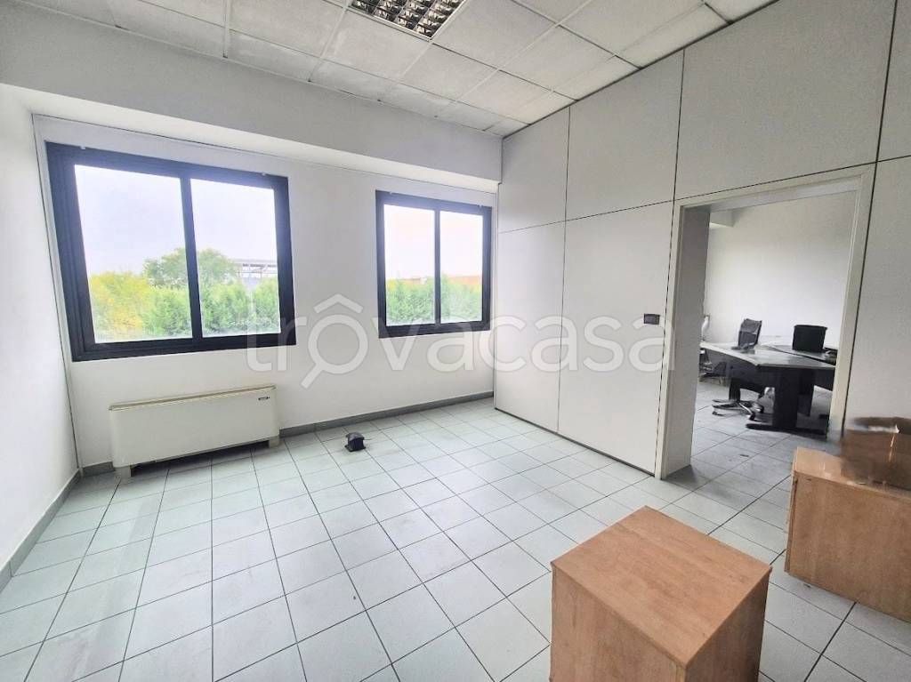 immagine annuncio 6 di 13