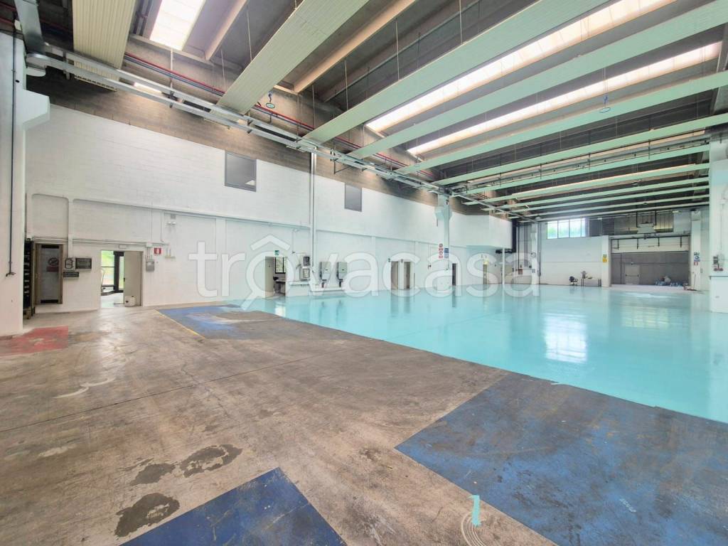 immagine annuncio 7 di 13