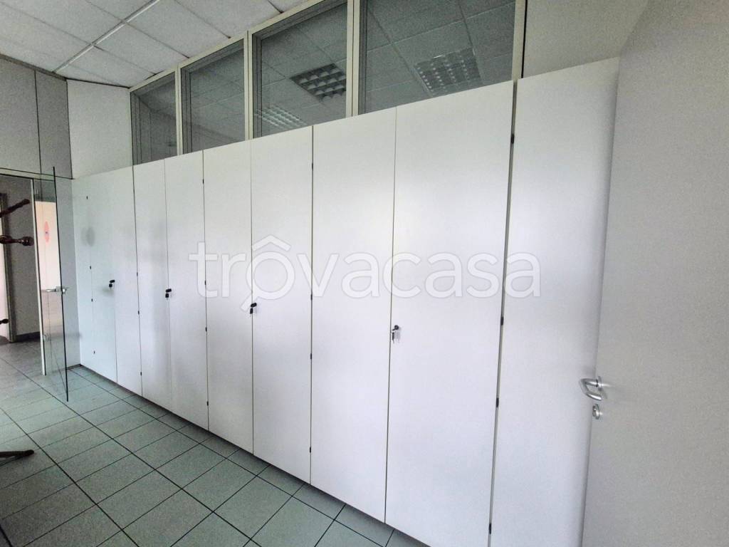 immagine annuncio 9 di 13