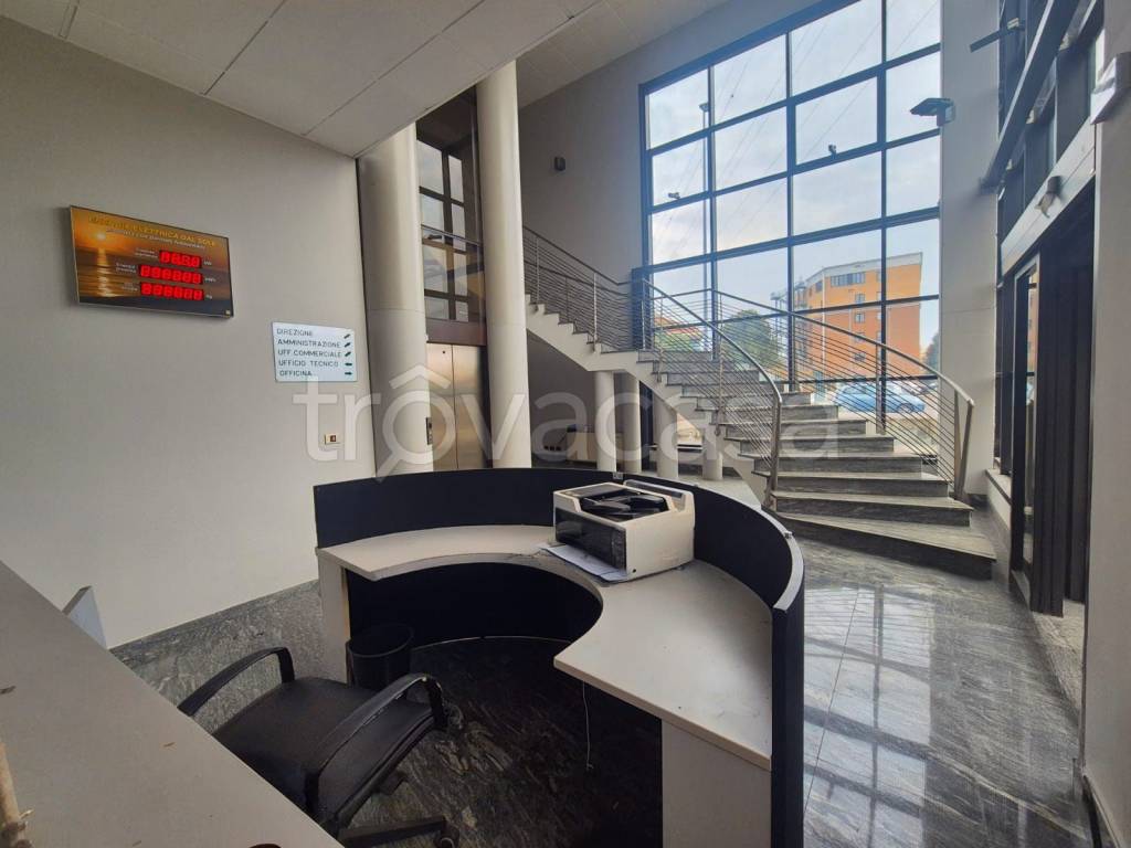 immagine annuncio 11 di 13