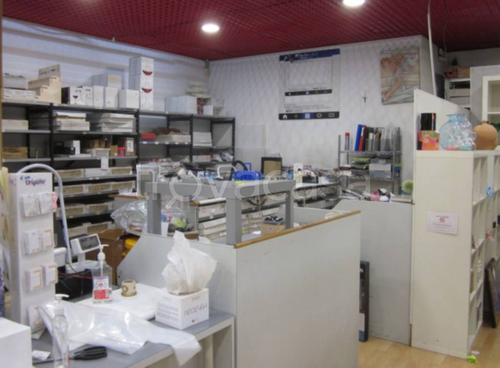 immagine annuncio 1 di 12