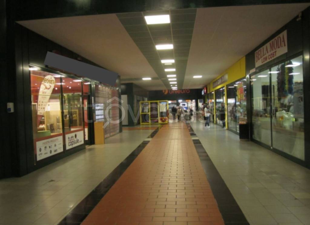 immagine annuncio 4 di 12