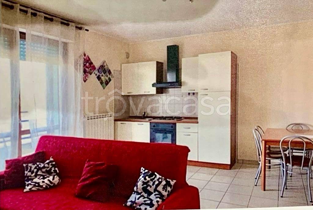 immagine annuncio 4 di 14