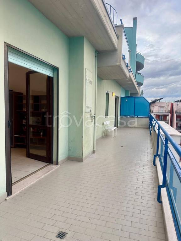 immagine annuncio 5 di 14