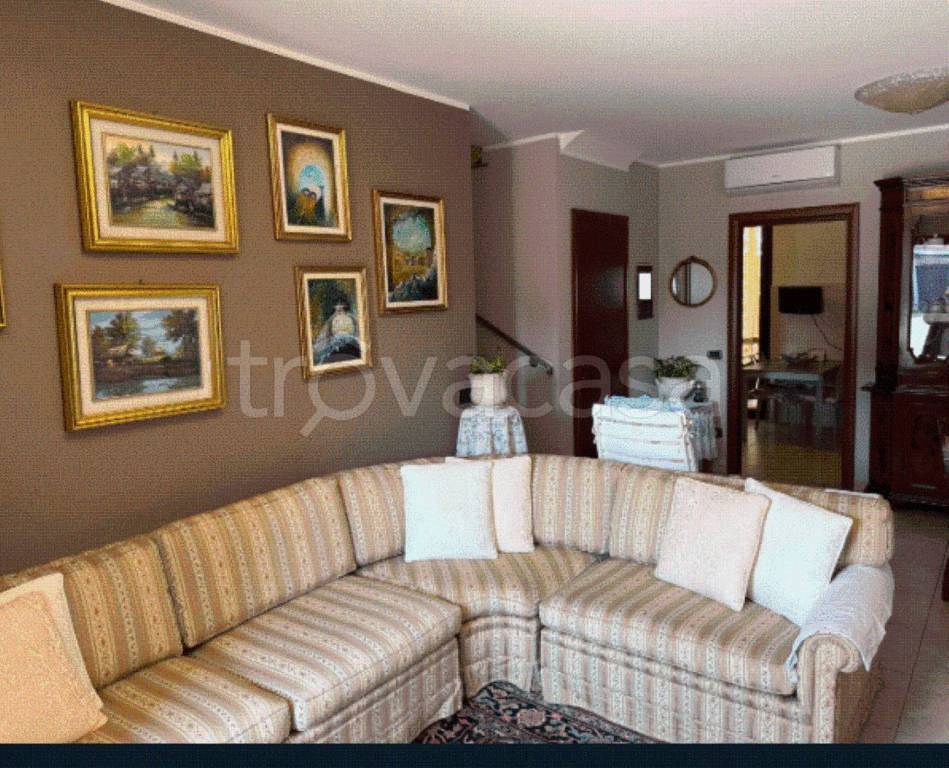 immagine annuncio 12 di 14