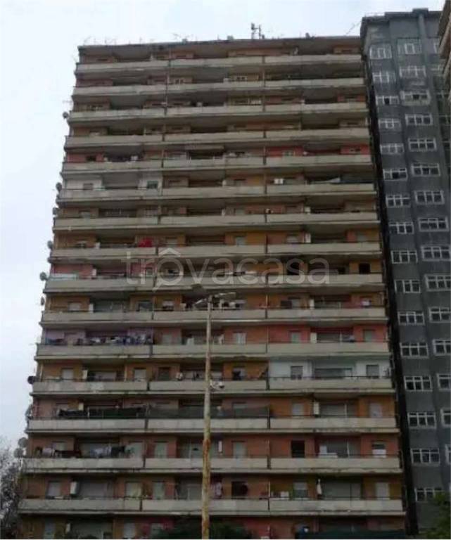 immagine annuncio 13 di 14