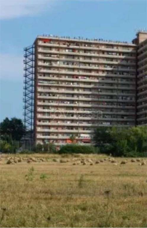 immagine annuncio 3 di 12