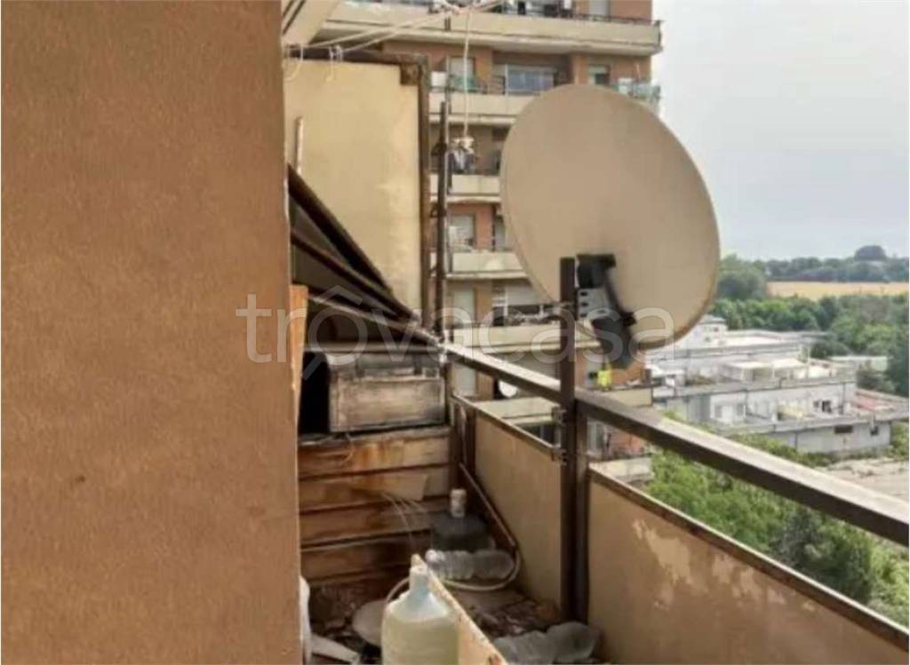 immagine annuncio 8 di 12