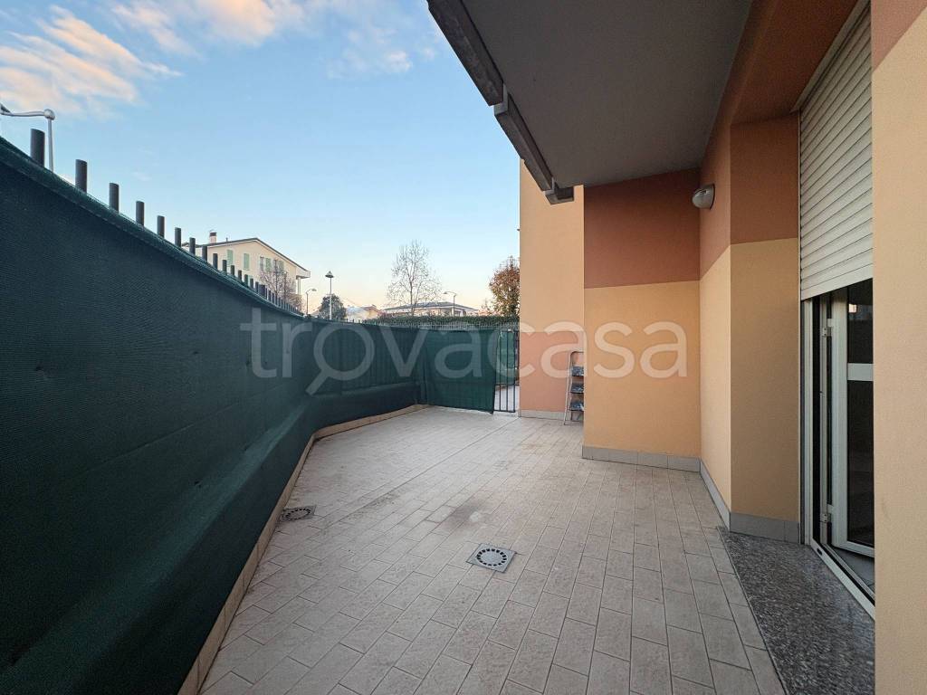 immagine annuncio 9 di 14