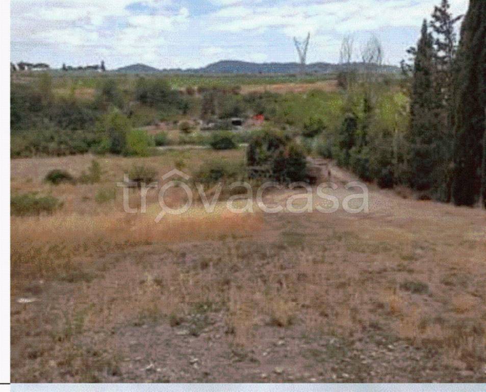 immagine annuncio 6 di 8