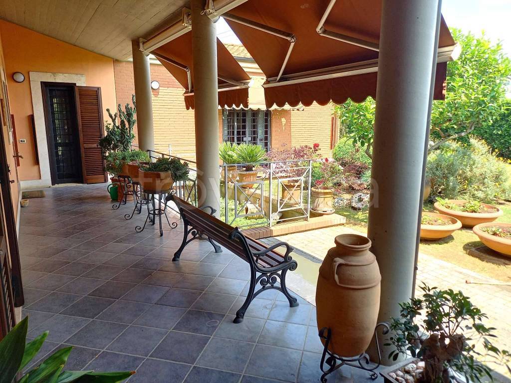 immagine annuncio 11 di 15