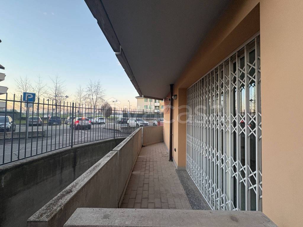 immagine annuncio 4 di 14