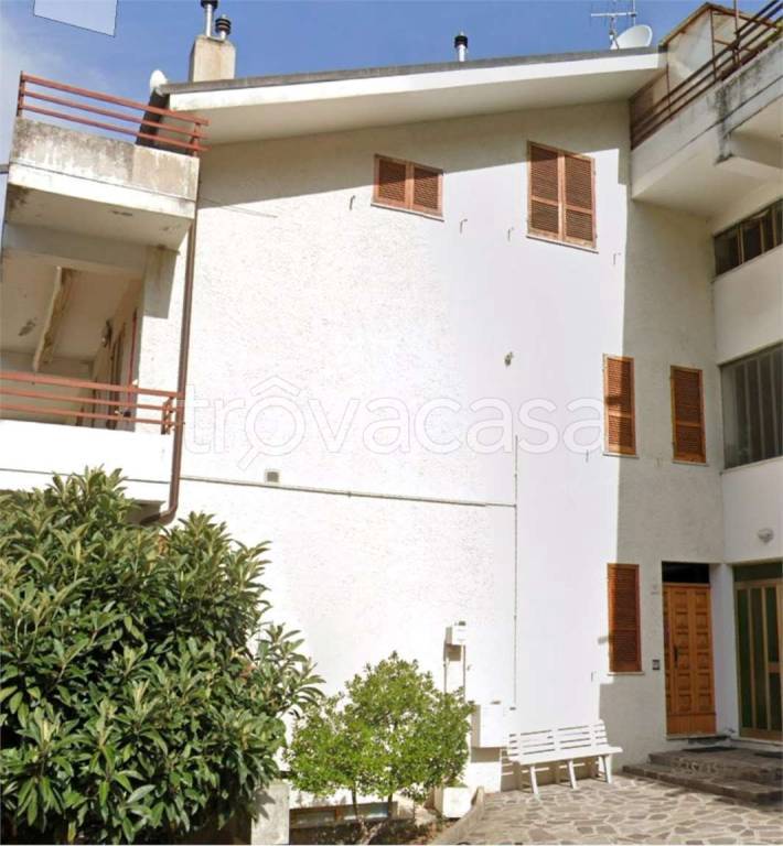 immagine annuncio 2 di 12