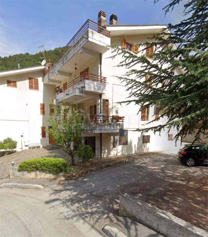 immagine annuncio 5 di 12