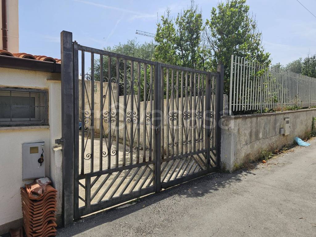 immagine annuncio 2 di 11