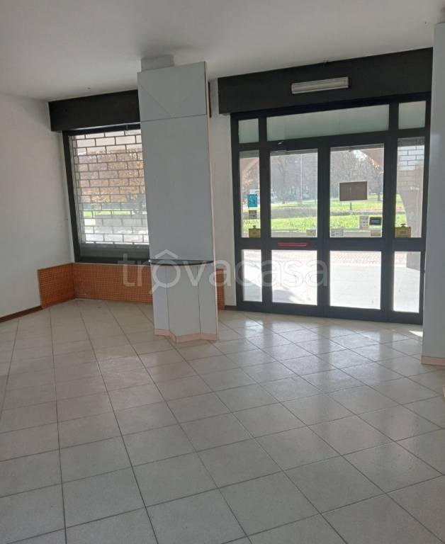 immagine annuncio 2 di 6