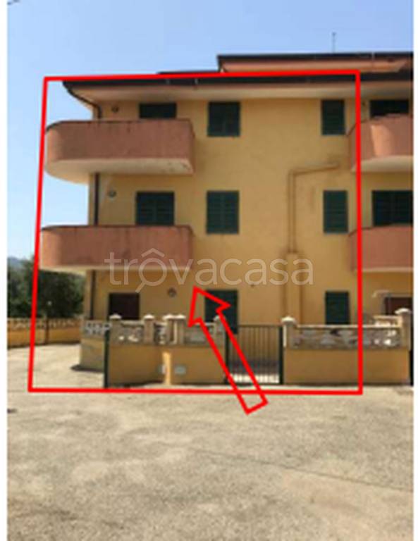 immagine annuncio 2 di 11