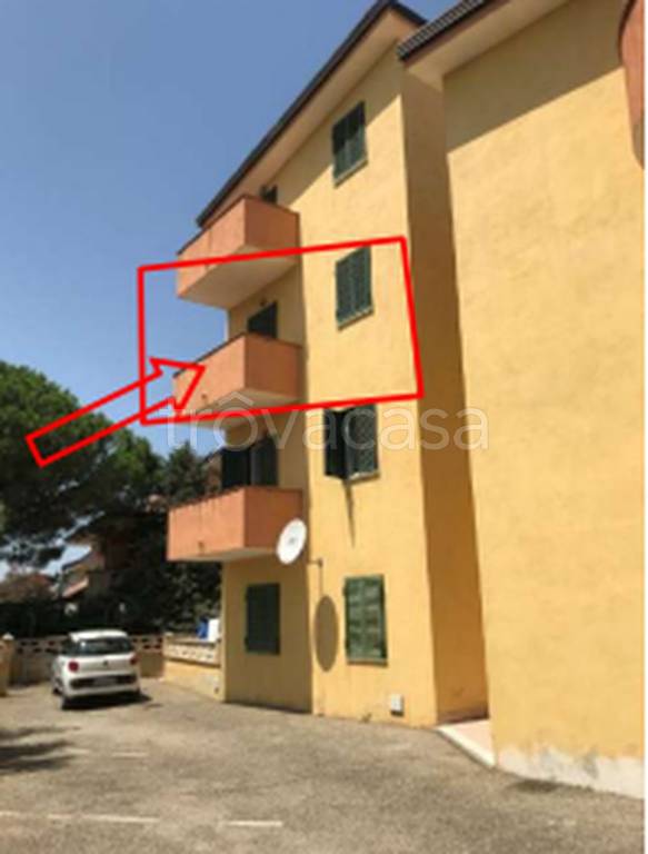 immagine annuncio 3 di 11