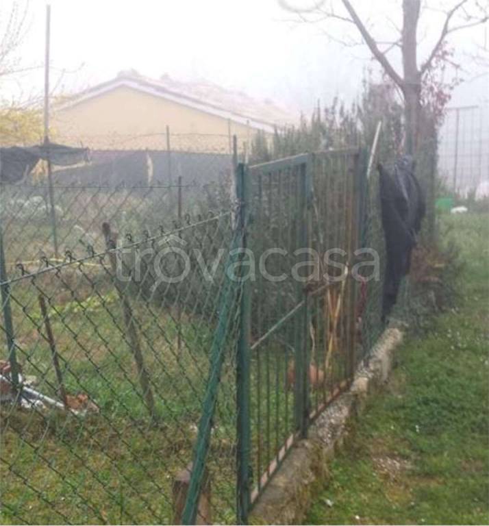 immagine annuncio 9 di 13