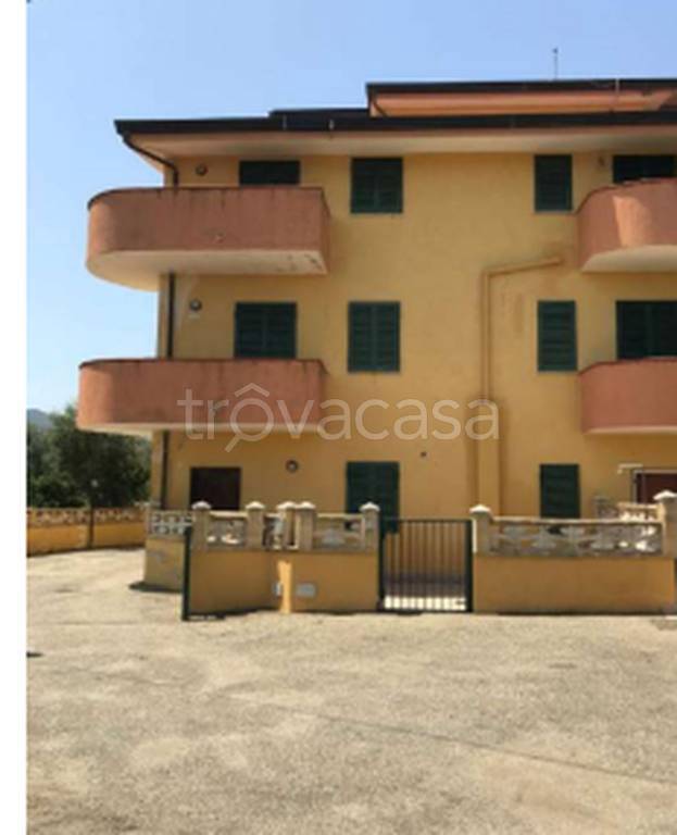 immagine annuncio 5 di 11