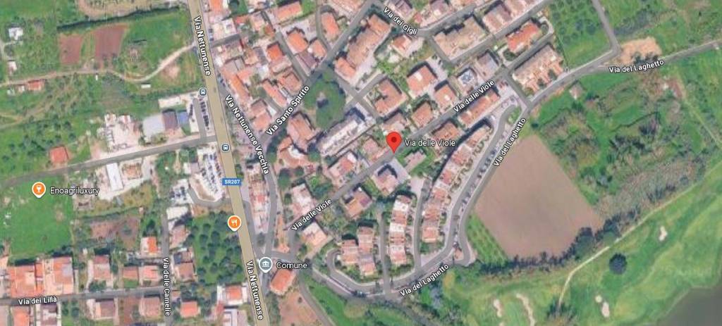 immagine annuncio 7 di 13