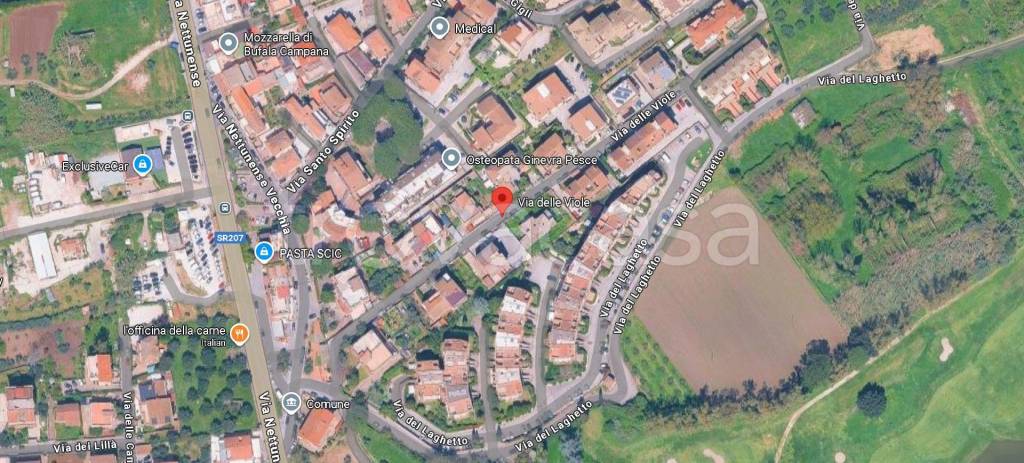 immagine annuncio 9 di 13