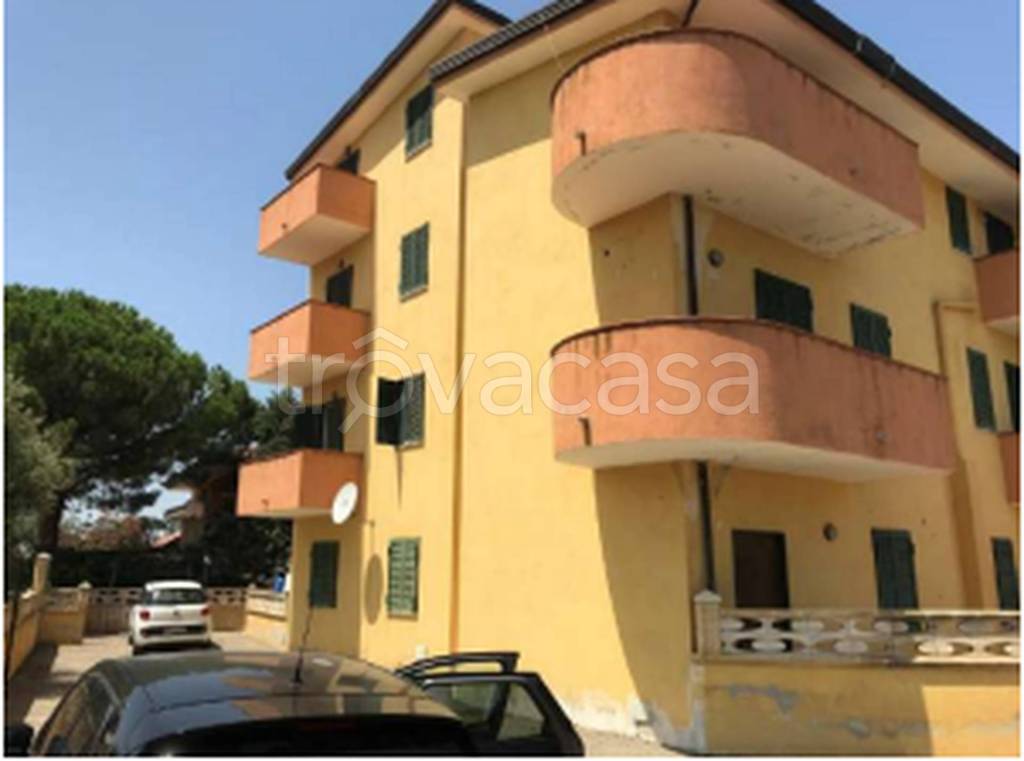 immagine annuncio 6 di 11