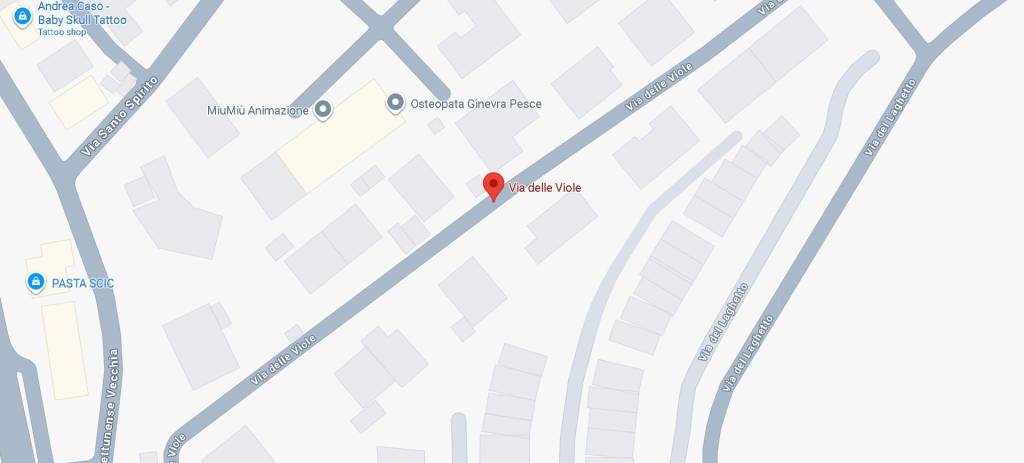 immagine annuncio 10 di 13