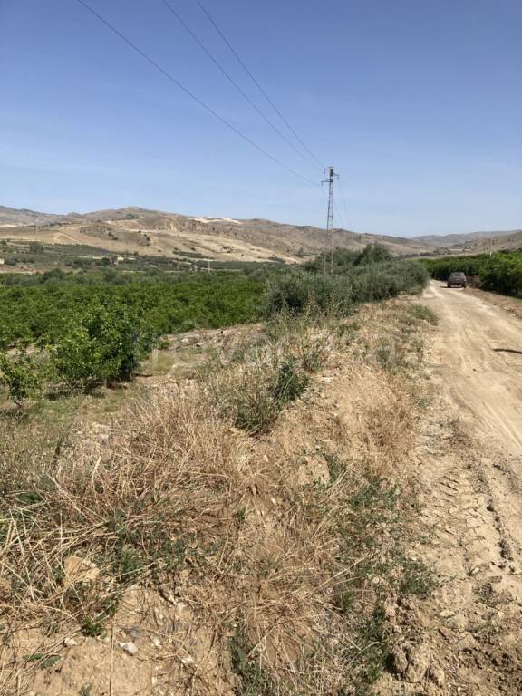 immagine annuncio 8 di 12