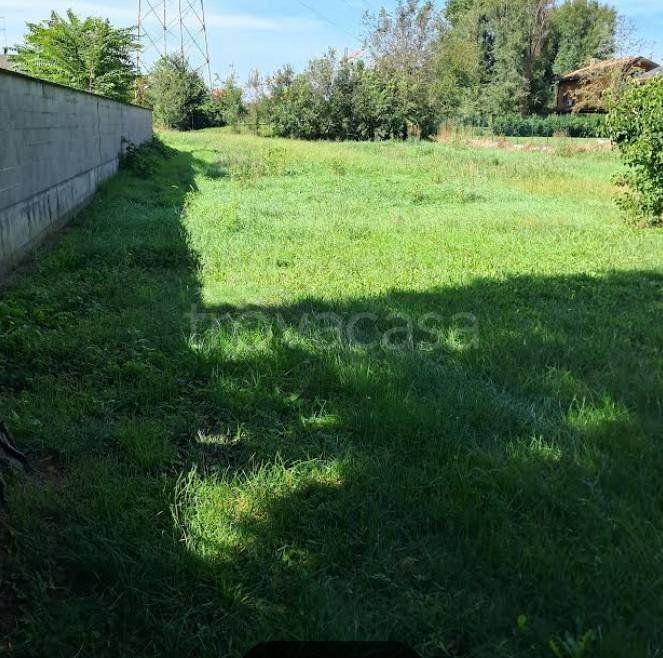 immagine annuncio 4 di 8