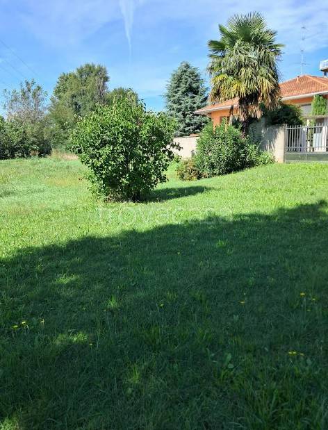 immagine annuncio 5 di 8