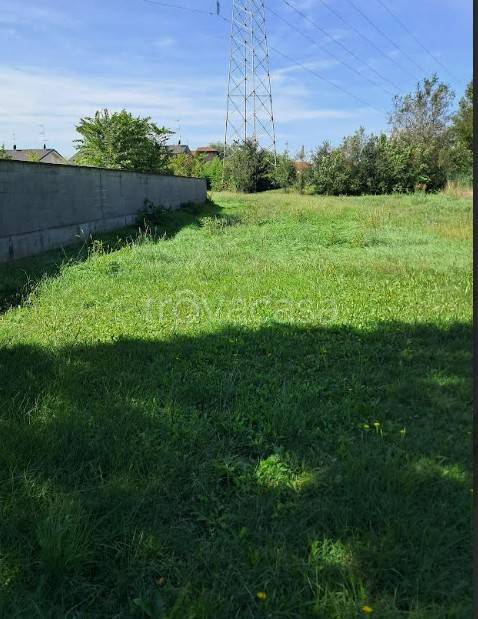 immagine annuncio 6 di 8