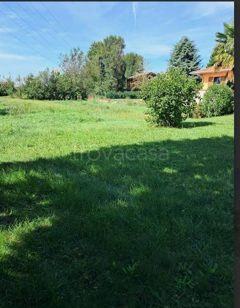 immagine annuncio 7 di 8