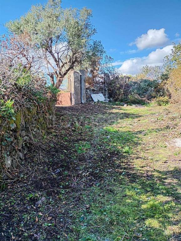 immagine annuncio 8 di 14