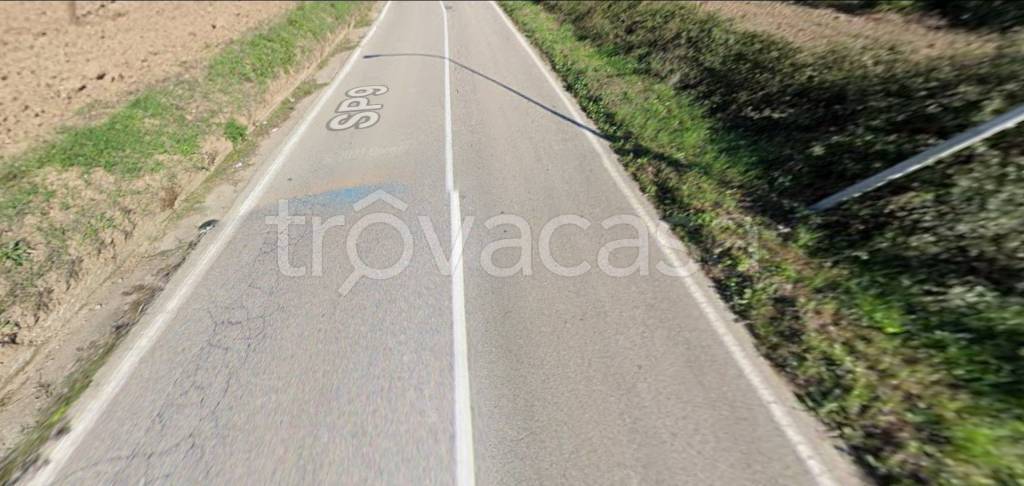 immagine annuncio 2 di 11